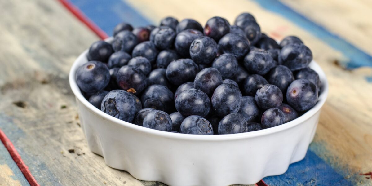 Efficiency at Its Best: Unveiling the Blueberry Harvester Tractor for Productive Harvests