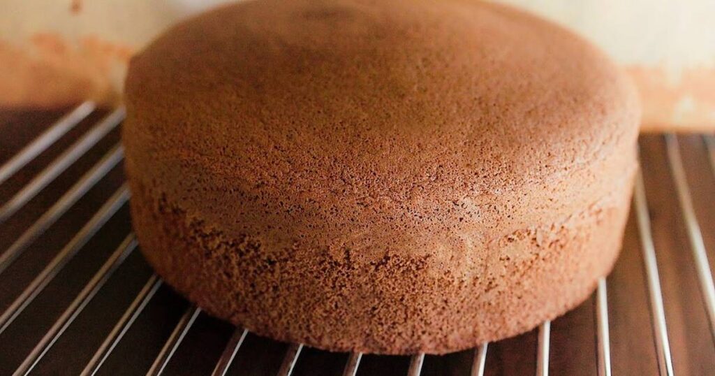 Chocolate Sponge Cake