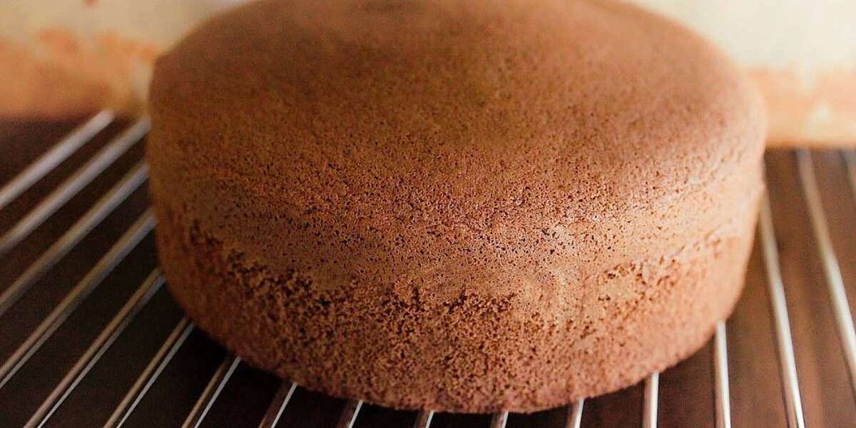 1000 Melting Moments of Chocolate Sponge Cake: Blissful Indulgence