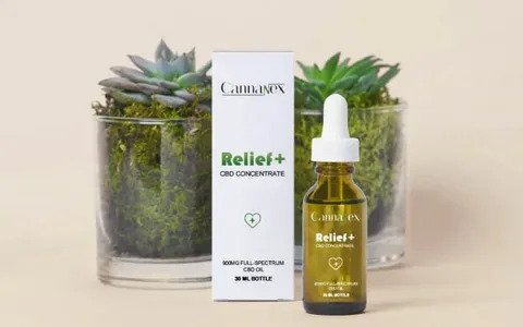Enhancing Product Appeal: The Significance of Custom CBD Bottle Packaging