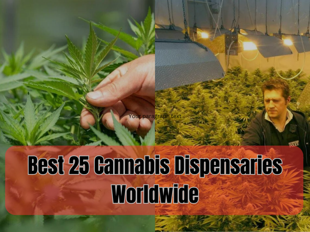 Cannabis Dispensaries