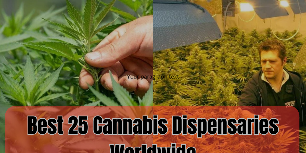 Best 25 Cannabis Dispensaries Worldwide – Our Best Pick