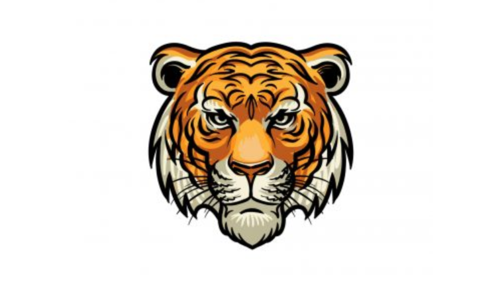 Draw A Tiger Face