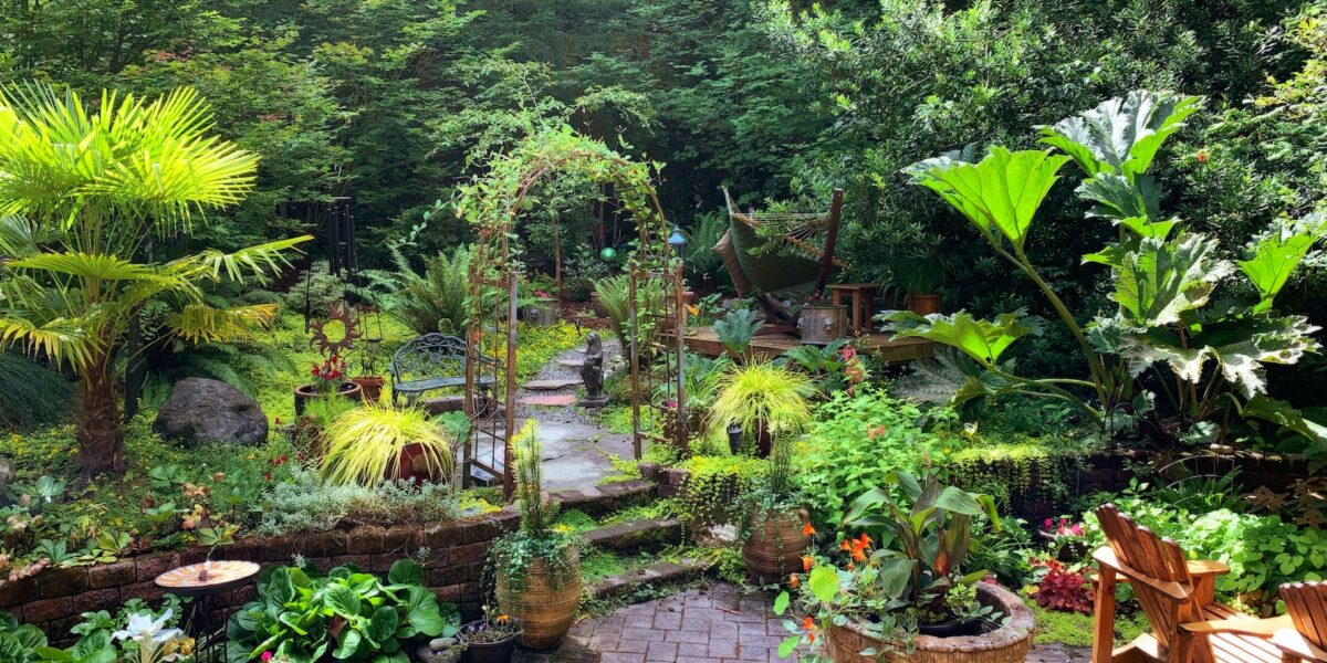 Transform Your Outdoor Oasis: Courtyard Landscaping Ideas and Inspiration