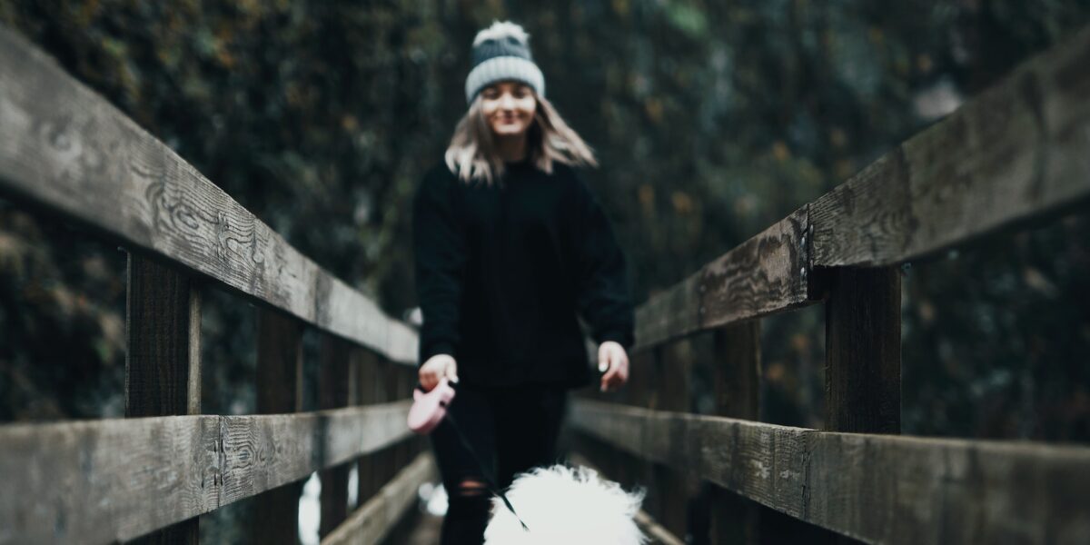 Enhance Pet Care with Convenient Mobile Pet Grooming Dubai