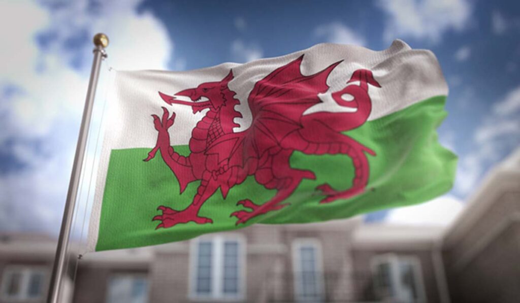 Welsh Flag
