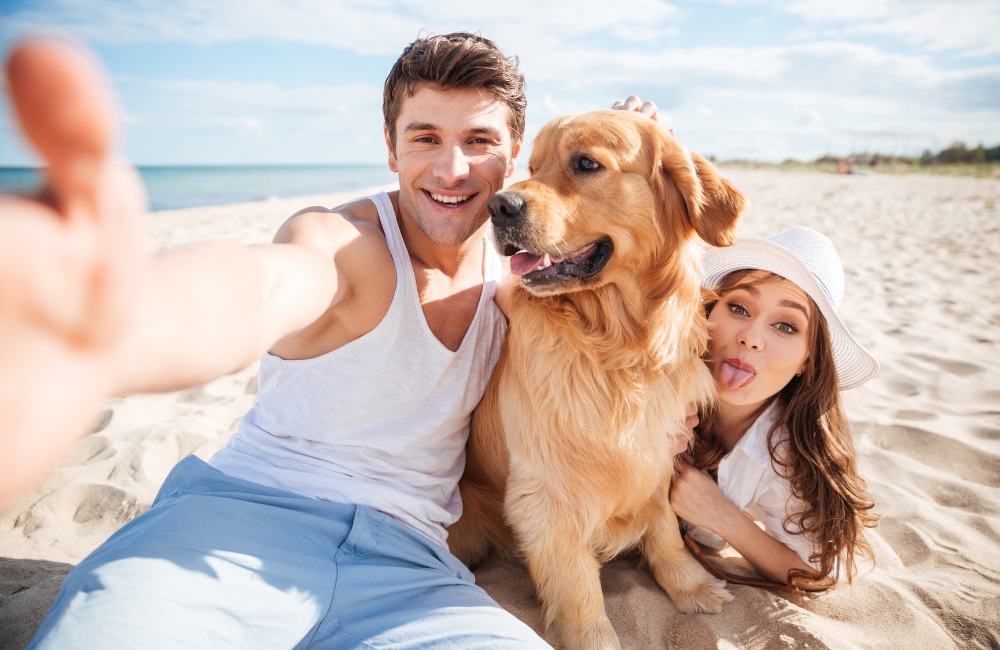 Nurturing Love: 8 Steps to Transition from Friends to Lovers