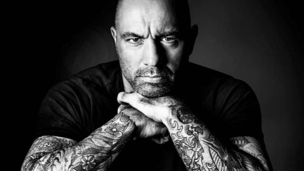 Joe Rogan Net Worth