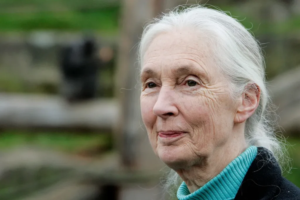 Jane Goodall